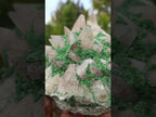 Natural Large Kolwezite Coated Dog Tooth Calcite Specimen x 1 From Mashamba West Mine, Congo