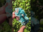 Natural Rare Drusy Hemimorphite On Dolomite Specimen x 1 From Lupoto Mine, Congo