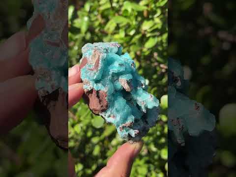Natural Rare Drusy Hemimorphite On Dolomite Specimen x 1 From Lupoto Mine, Congo