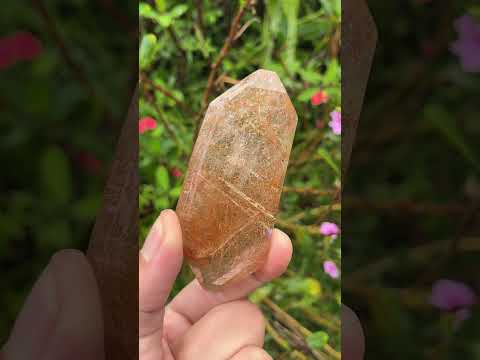 Polished Rare Golden Rutile Quartz Crystal x 1 From Madagascar