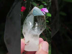 Polished Clear Quartz Sceptre Crystal x 1 From Madagascar