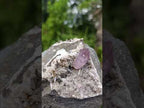 Natural Amethyst Crystal with Dog Tooth Calcite in Matrix x 1 From Goboboseb Mountains, Namibia
