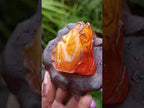Hand Made Fossil Amber Sleeping Girl Curled in a Flower Carving on a Hardwood Base x 1 From Poland