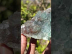 Natural Cabinet Size Riemvasmaak Bipyramidal Green Fluorite Specimen x 1 From Riemvasmaak, South Africa