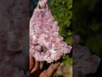 Natural Large Super Rare Cobaltoan Rhodocalcite Specimen x 1 From Mashamba West Mine, Congo