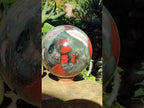 Polished XL Bloodstone Sphere x 1 From Swaziland