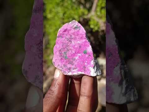 Natural Mix Set of 12 African Specimens in a Wooden Display Box x 1 From Southern Africa
