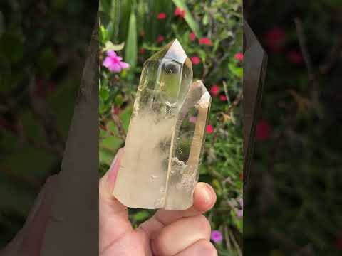 Polished Twin Window Smokey Citrine Quartz Crystal x 1 From Anzojorabe, Madagascar