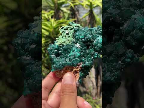 Natural Dioptase With Crystalline Malachite On Dolomite Specimen x 1 From Likasi, Congo