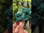 Natural Dioptase With Crystalline Malachite On Dolomite Specimen x 1 From Likasi, Congo