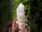 Polished and Natural Skeletal Quartz Window Crystal x 1 From Madagascar