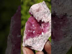 Natural Rare Hot Pink Spherocobaltite Specimen in Wooden Display Box x 1 From Mashamba West Mine, Congo