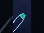 Polished Sandawana Emerald Faceted Stone x 1 From Sandawana, Zimbabwe