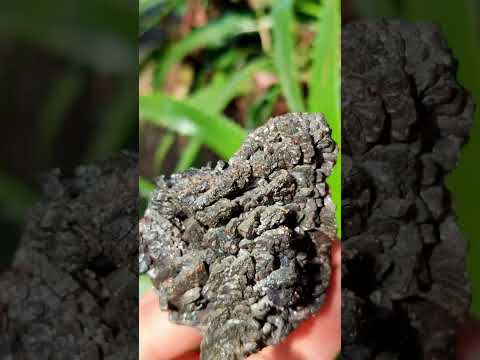 Natural Ultra Rare Descloizite Specimen x 1 From Berg Aukas, Namibia