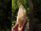 Natural Cascading Luena Citrine Crystal Cluster x 1 From Luena, Congo