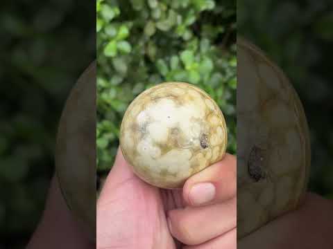 Polished Rare Ocean Jasper Sphere x 1 From Madagascar