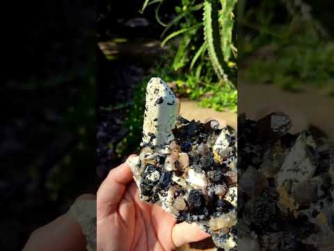Natural Schorl Black Tourmaline with Associated Minerals Specimen x 1 From Erongo, Namibia