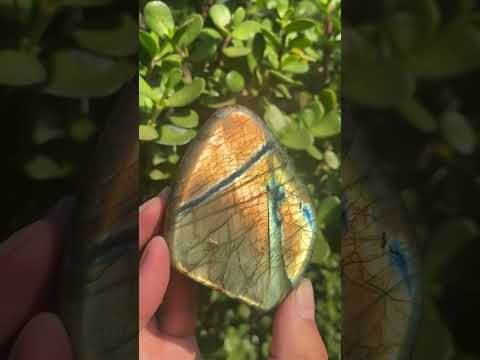 Polished Golden Sunset Flash Labradorite Standing Free Form x 1 From Tulear, Madagascar