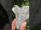 Natural 4 Billion Year Old Iron Gibeon Meteorite Slice x 1 From Gibeon, Namibia