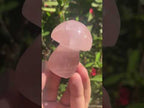 Polished Gemmy Star Rose Quartz Mushroom x 1 From Ambatondrazaka, Madagascar