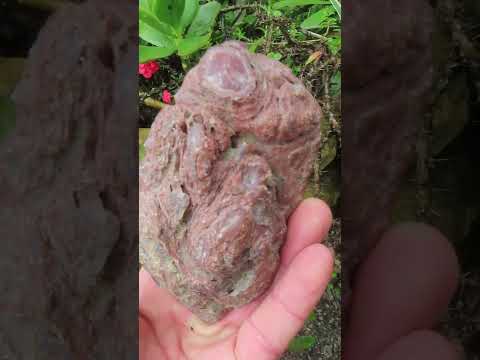 Polished On One Side Large Red Sashe River Agate Nodule x 1 From Shashe River, Zimbabwe