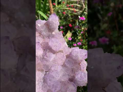 Natural A Grade Sunburst Amethyst Spirit Quartz Cluster x 1 From Boekenhouthoek, South Africa