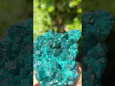 Natural Perfect Dioptase Specimen with No Matrix x 1 From Tantara, Congo