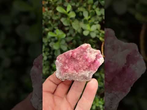 Natural Mixed Set of 6 African Mineral Specimens in a Wooden Display Box x 1 From Southern Africa