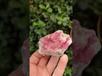 Natural Mixed Set of 6 African Mineral Specimens in a Wooden Display Box x 1 From Southern Africa