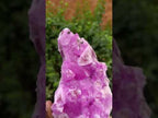 Natural Large Extra Rare Rhodocalcite Specimen x 1 From Mashamba West Mine, Congo