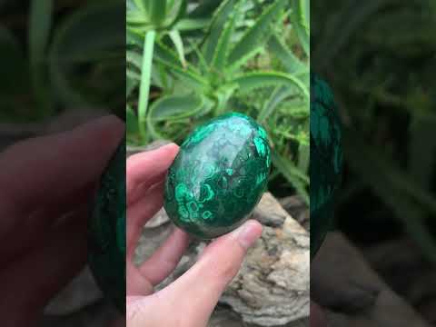 Polished Rare Extra Large Flower Banded Malachite Egg x 1 From Congo