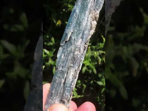 Natural XL Striated Blue Kyanite Crystal with Biotite Mica x 1 From Karoi, Zimbabwe