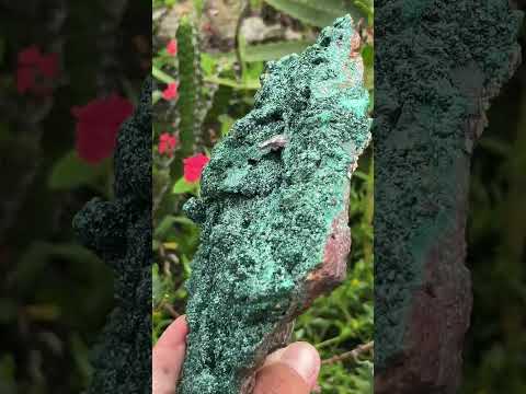 Natural Crystalline Malachite Plate Cabinet Specimen x 1 From Kolwezi, Congo