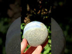 Polished Rare Blue Lace Agate Sphere x 1 From Nsanje, Malawi