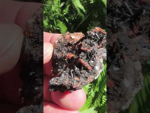 Natural Rare Gaudefroyite and Hausmannite Specimen with Andradite Garnet x 1 From N'Chwaning Mine, Northern Cape, South Africa