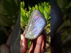 Polished Mix of African Minerals and Crystal Set of 12 x 1 From Southern Africa