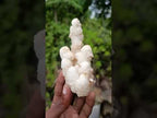 Natural Triple Chalcedony Stalactite Formation with Stilbite Crystals and Apophyllite x 1 From Maharashtra, India
