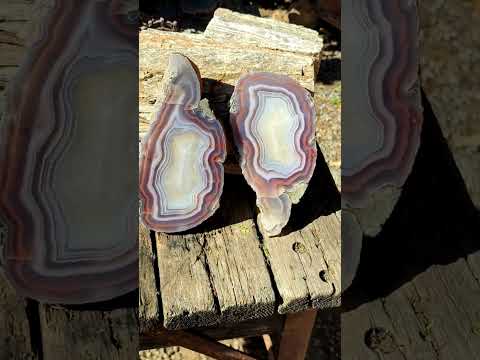 Polished One Side XL Red Shashe River Agate Pair x 1 From Shashe River, Zimbabwe
