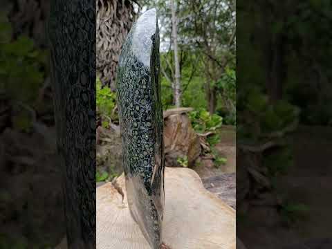 Hand Made XXL Stromatolite Standing Leaf Sculpture x 1 From Mahajanga, Madagascar