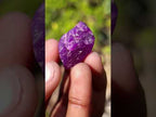 Natural XXXX Rare 8.194g Gel Sugilite Nodule x 1 From Wessel's Mine, South Africa