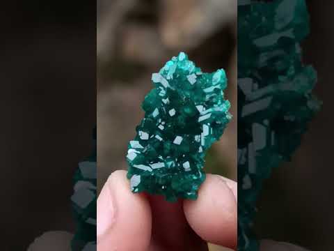 Natural Pair of Superb Namibian Dioptase Thumbnail Miniature Specimens x 1 From Namibia