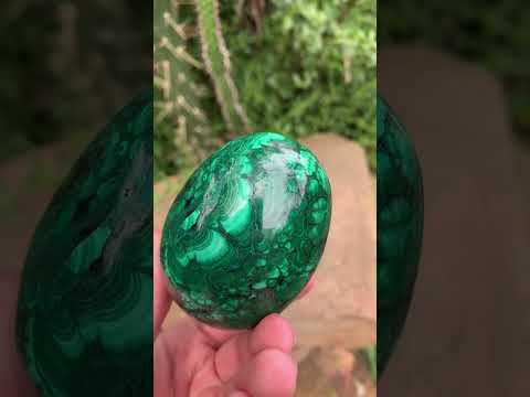 Polished Rare Extra Large Flower Banded Malachite Egg x 1 From Congo