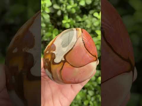 Polished On One Side Polychrome Jasper Nodule x 1 From NW Coast, Madagascar