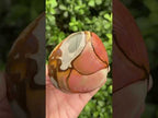 Polished On One Side Polychrome Jasper Nodule x 1 From NW Coast, Madagascar