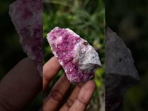 Natural Mix Set of 24 African Minerals and Crystals in a Black Wooden Display Case x 1 From Southern Africa