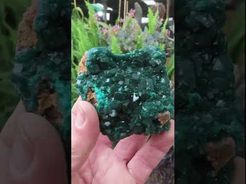 Natural Rare Dioptase Specimen x 1 From Likasi, Congo
