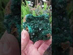 Natural Rare Dioptase Specimen x 1 From Likasi, Congo
