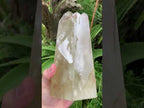 Polished XL Multi-Terminated Citrine Quartz Crystal x 1 From Madagascar