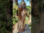 Polished XL Tall Smokey Quartz Display Crystal with Enhydro x 1 From Akansobe, Madagascar