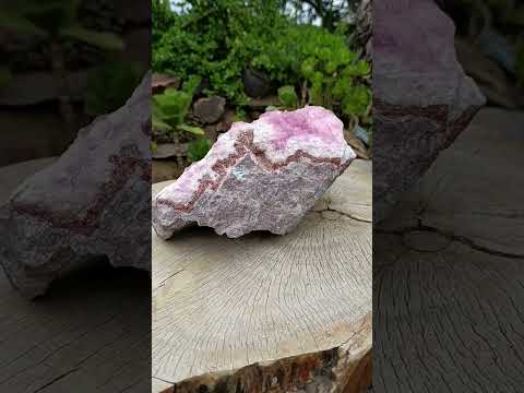 Natural Super Rare XXL Pink Rhodocalcite Specimen x 1 From Mashamba West, Congo